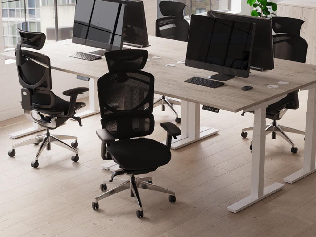 Style Shot Office 2