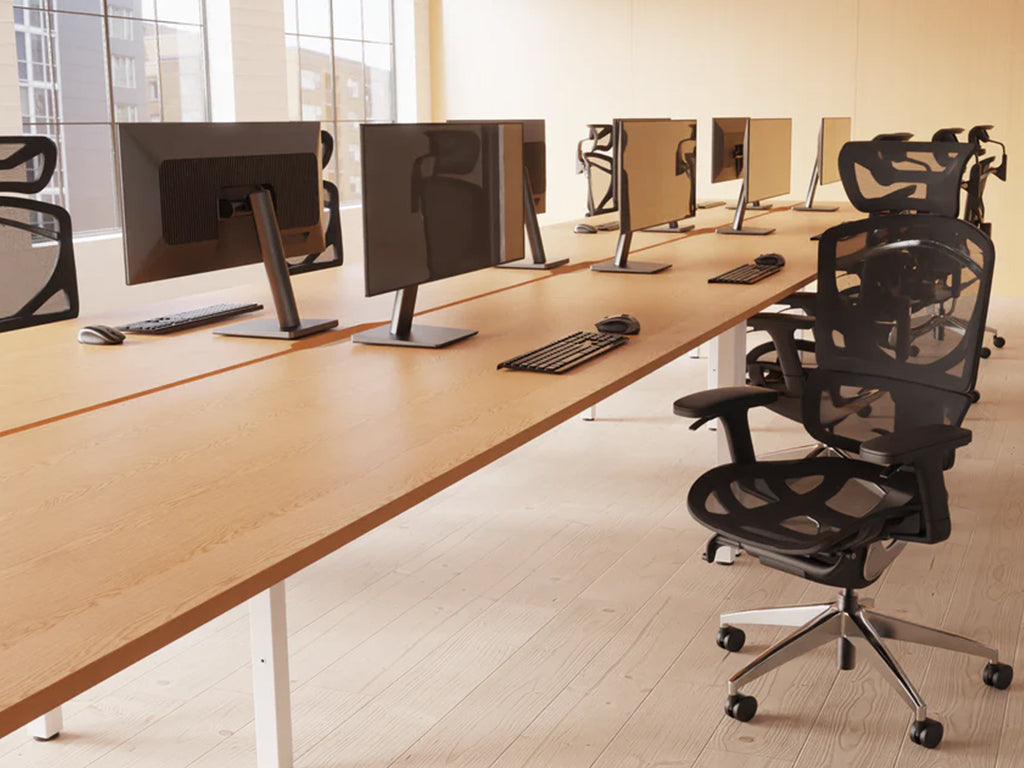 Style Shot Office 1