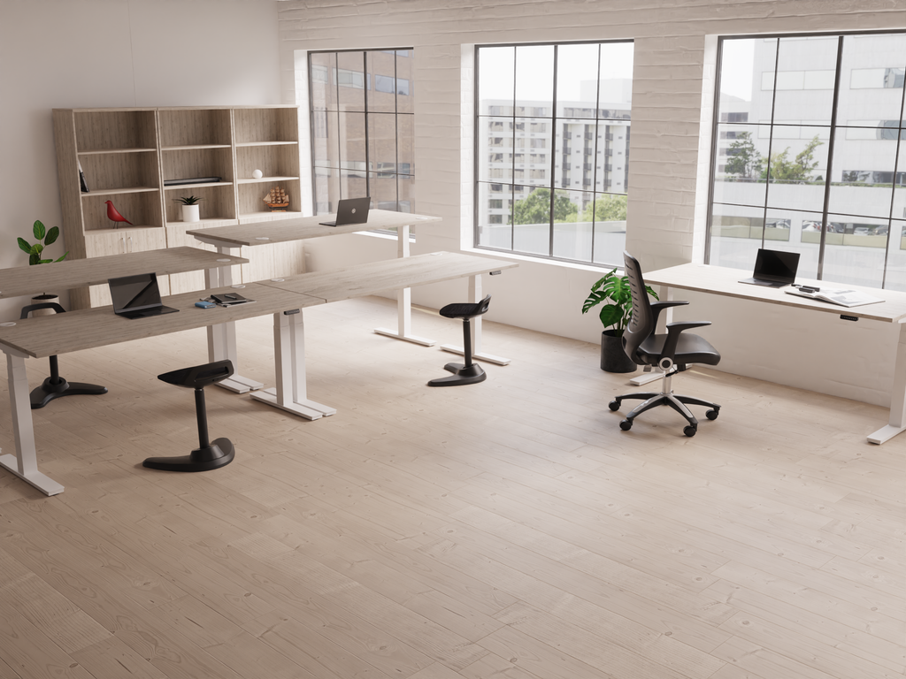 Style Shot Office 1