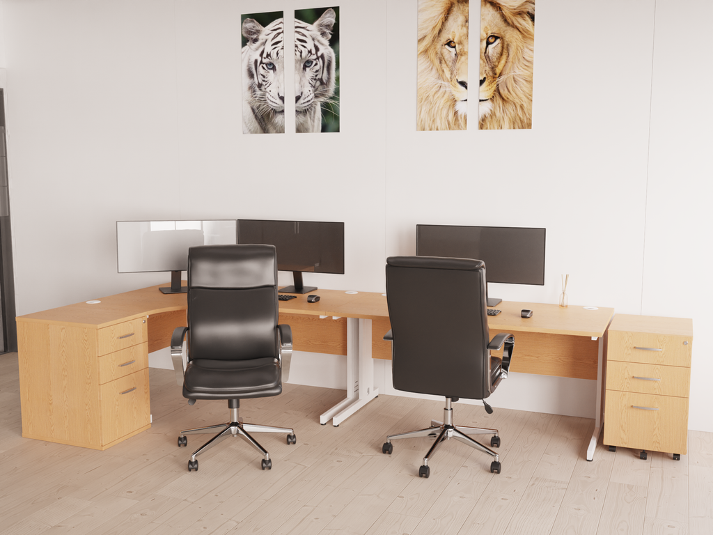 Style Shot Office 1