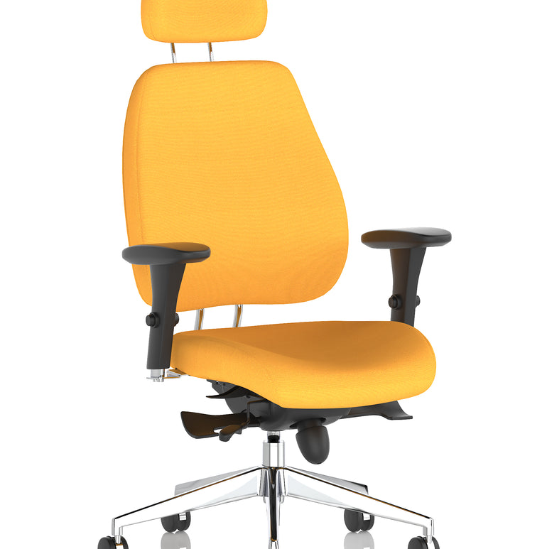Chiro Plus High Back Ergonomic Posture Chair with Arms
