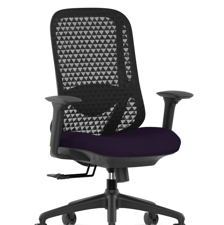 Prism Ergonomic Mesh Back Office Chair with Adjustable Arms