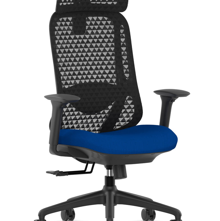 Prism Ergonomic Mesh Back Office Chair with Adjustable Arms