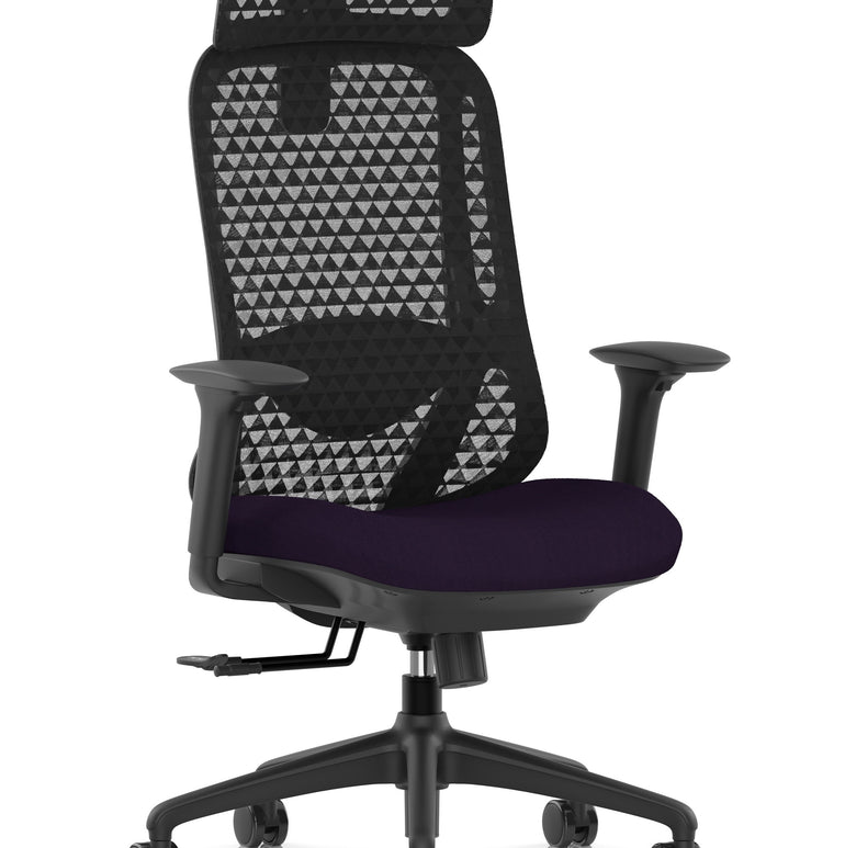 Prism Ergonomic Mesh Back Office Chair with Adjustable Arms