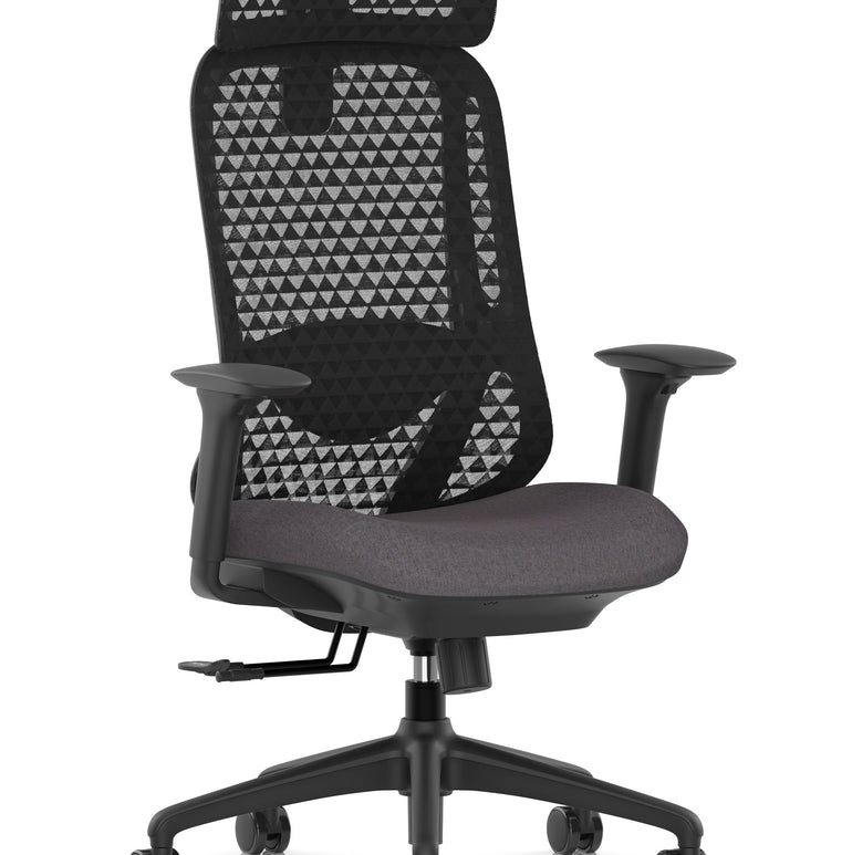 Prism Ergonomic Mesh Back Office Chair with Adjustable Arms
