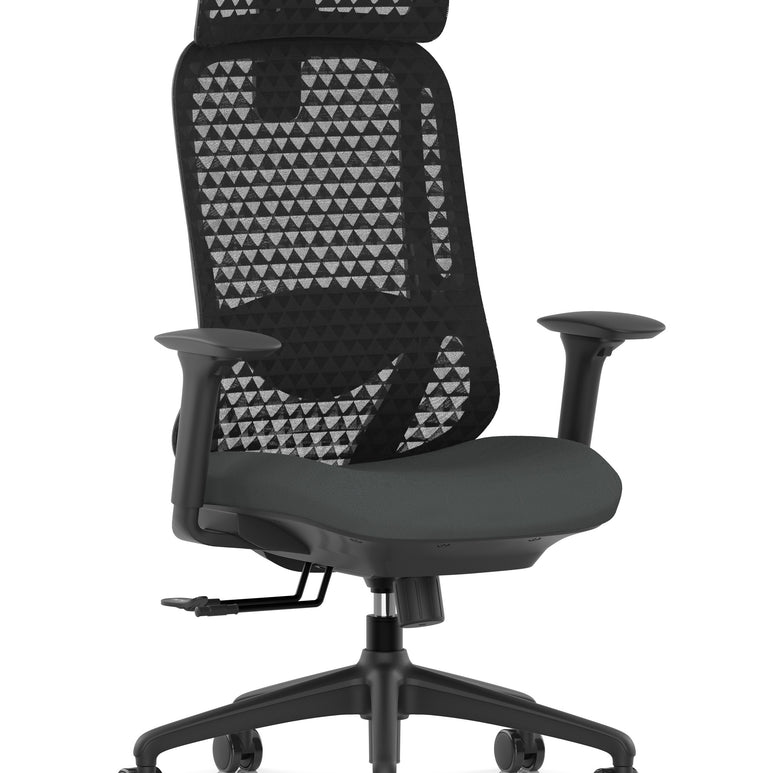 Prism Ergonomic Mesh Back Office Chair with Adjustable Arms