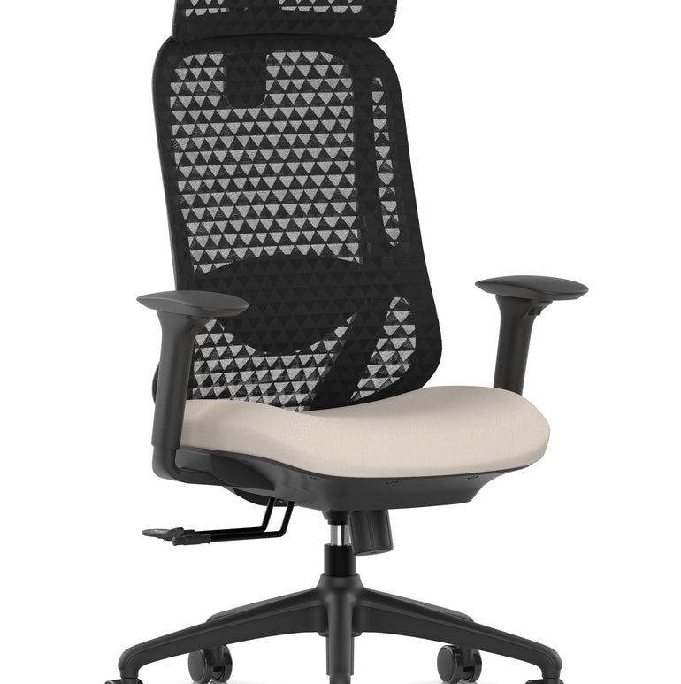 Prism Ergonomic Mesh Back Office Chair with Adjustable Arms
