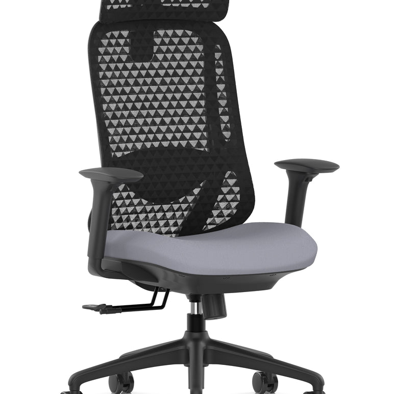 Prism Ergonomic Mesh Back Office Chair with Adjustable Arms