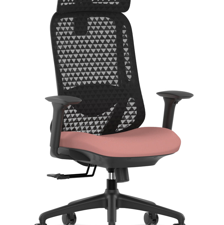 Prism Ergonomic Mesh Back Office Chair with Adjustable Arms