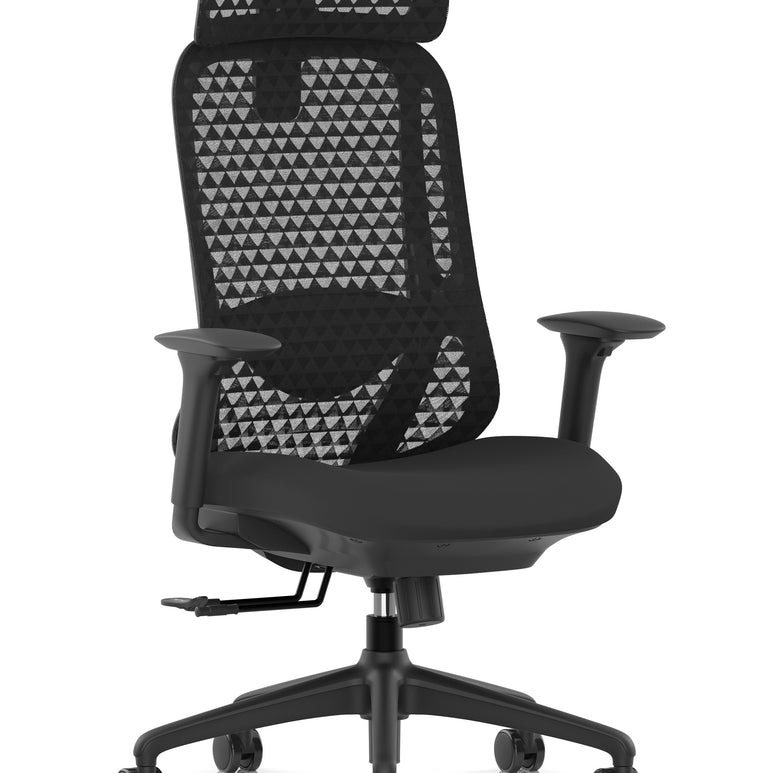 Prism Ergonomic Mesh Back Office Chair with Adjustable Arms