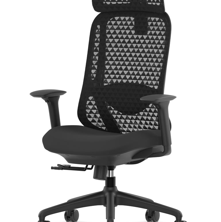 Prism Ergonomic Mesh Back Office Chair with Adjustable Arms
