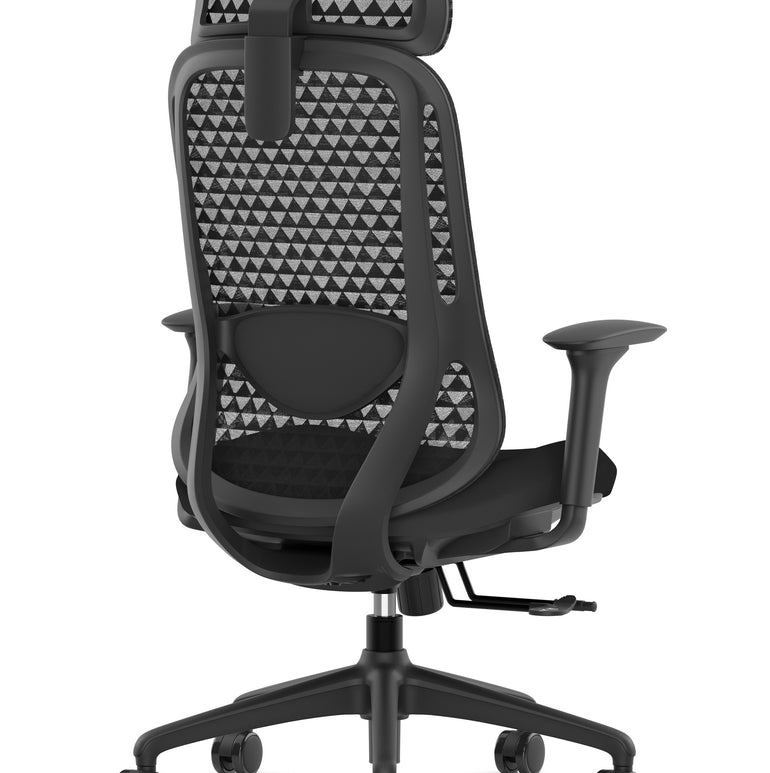 Prism Ergonomic Mesh Back Office Chair with Adjustable Arms