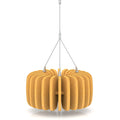  Buttercup Yellow